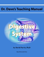 Digestive System